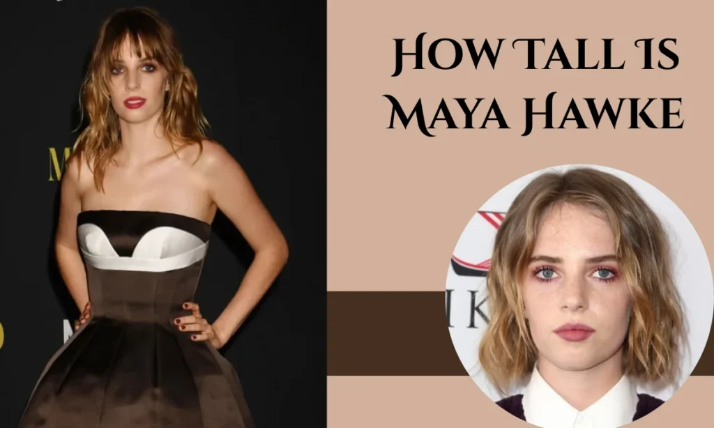 How Tall Is Maya Hawke