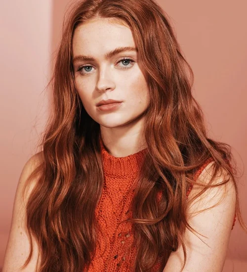 Who Is Sadie Sink